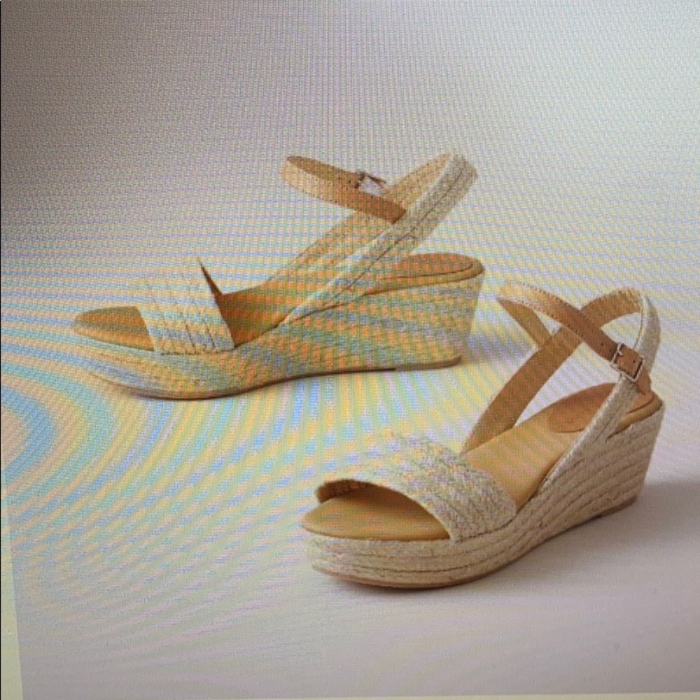Matt Bernson Neptune Platform Wedge Espadrille